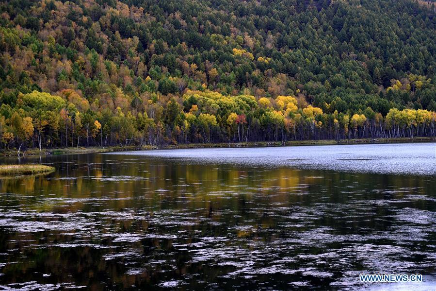 Photo taken on Sept. 14, 2018 shows autumn scenery of the Wusulangzi Lake in Arxan, north China\'s Inner Mongolia Autonomous Region. (Xinhua/Ren Junchuan)