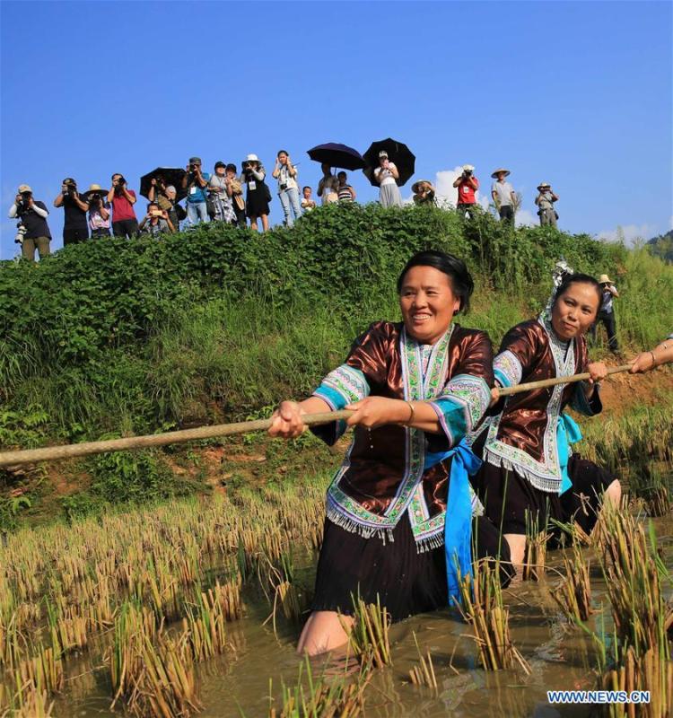 People take part in a tug-of-war game during harvest celebrations held at a village of Miao ethnic group in Gandong Township in Miao Autonomous County of Rongshui, south China\'s Guangxi Zhuang Autonomous Region, Sept. 15, 2018. (Xinhua/Long Tao)