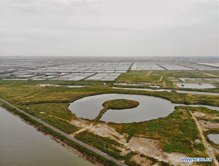 Aerial photo taken on Sept. 15, 2018 shows scenery of Caofeidian wetland and birds natural reserve in north China\'s Hebei Province. Two injured oriental white storks will be soon released into the wild upon their full recovery. The two birds were rescued by the administration of the natural reserve in October of 2017. The oriental white storks are listed as endangered species that are under first-class national protection. (Xinhua/Xing Guangli)