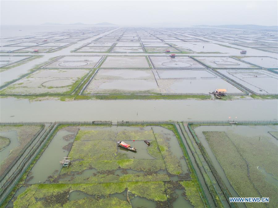 Aerial photo taken on Sept. 16, 2018 shows an aquatic farm of Taihu Lake in Huzhou, east China\'s Zhejiang Province. Local farmers were busy with their work in harvest season of the Taihu Lake crab. The ecological environment of the Taihu Lake was improved due to continuous efforts of local government. (Xinhua/Xu Yu)