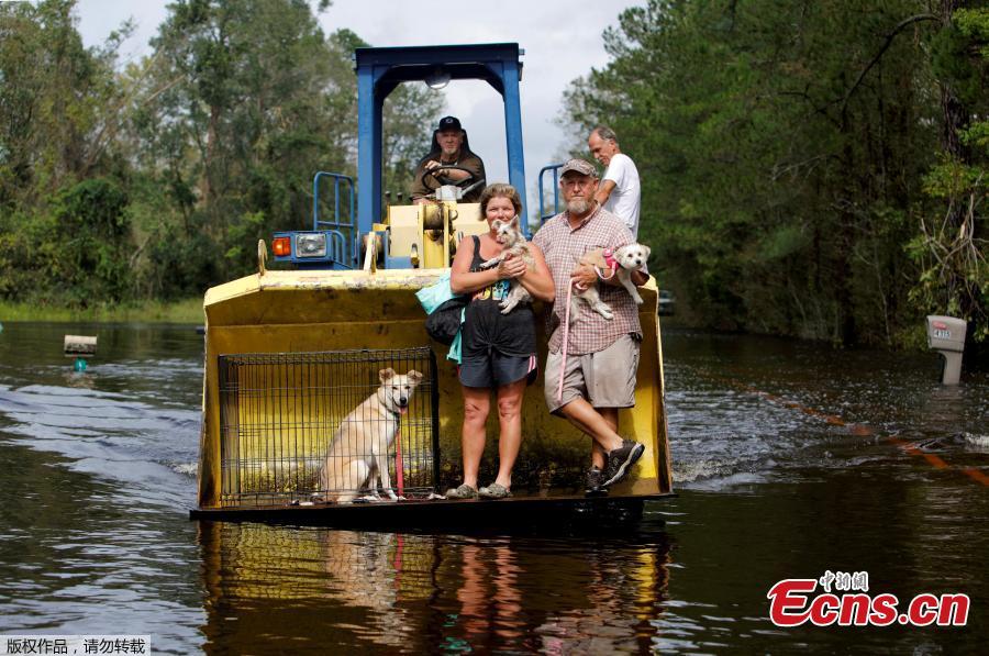 Jimmy Shackleford (74) of Burgaw transports his son Jim Shackleford and his wife Lisa, and their pets Izzy, Bella and Nala (in the cage) in the bucket of his tractor as the Northeast Cape Fear River breaks its banks during flooding after Hurricane Florence in Burgaw, North Carolina, U.S., Sept. 16, 2018. (Photo/Agencies)