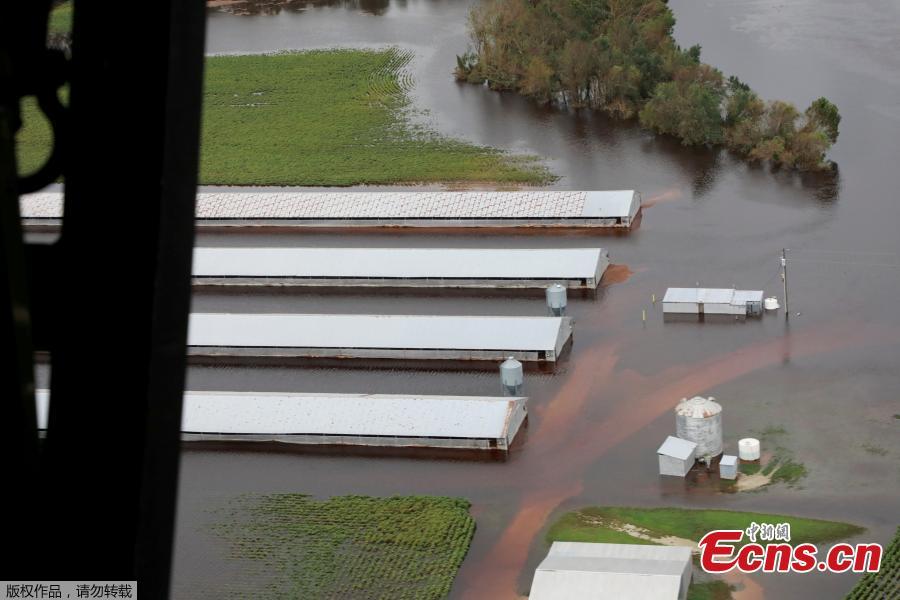 Farm buildings are inundated with floodwater from Hurricane Florence near Trenton, N.C., Sept. 16, 2018. (Photo/Agencies)