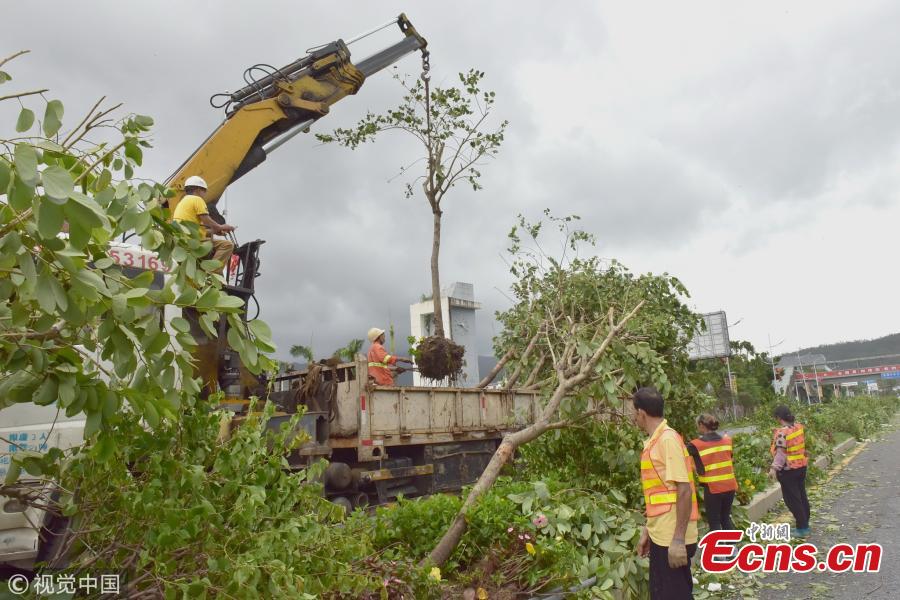 People clear trees uprooted by Super Typhoon Mangkhut in Shenzhen City, South China’s Guangdong Province, Sept. 17, 2018. (Photo/VCG)