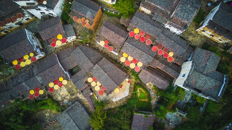 Huangling village in Wuyuan county, East China\'s Jiangxi Province, glitters with an autumn harvest glow, Sept. 15, 2018. (Photo/chinadaily.com.cn)
Local residents of Huangling village in Wuyuan county, East China\'s Jiangxi province, fill their bamboo trays with red chilis, chrysanthemum, corn and tea for air drying and winter storage. This ancient agricultural custom incidentally creates a beautiful scene.