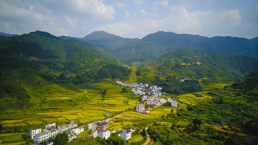 Aerial view of the rice fields in Huangling village in Wuyuan county, East China\'s Jiangxi Province, Sept. 15, 2018. (Photo/chinadaily.com.cn)