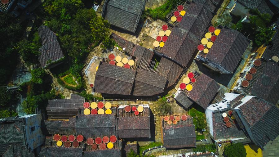 Huangling village in Wuyuan county, East China\'s Jiangxi Province, glitters with an autumn harvest glow, Sept. 15, 2018. (Photo/chinadaily.com.cn)