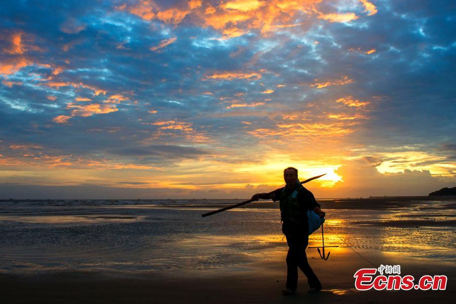 A fisherman works at a beach at sunset in Beihai City, South China’s Guangxi Zhuang Autonomous Region, Sept. 18, 2018. (Photo: China News Service/Xu Shaorong)
