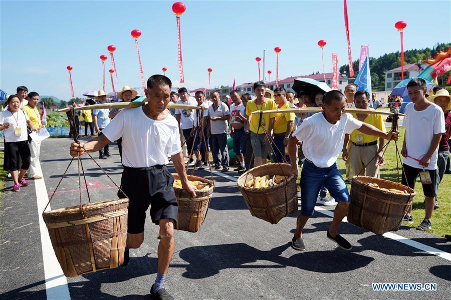 Farmers compete with each other to carry bundles of cereals in Nanfeng County, east China\'s Jiangxi Province, Sept. 19, 2018. Activities to celebrate China\'s first Farmers\' Harvest Festival were held at Modern Agricultural Demonstration Garden in Nanfeng County. (Xinhua/Song Zhenping)