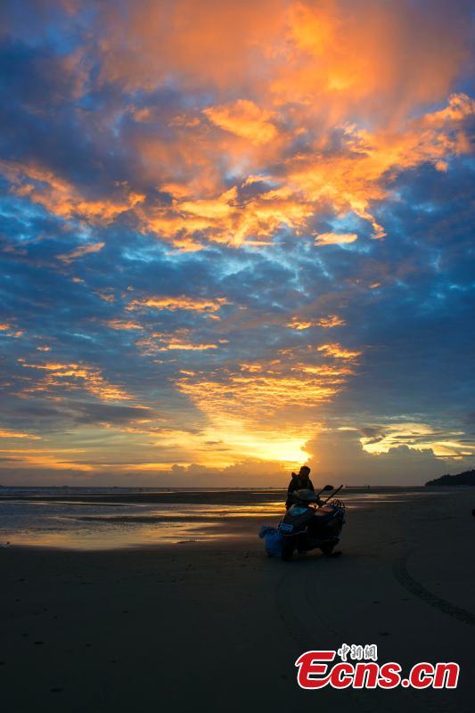 A fisherman works at a beach at sunset in Beihai City, South China’s Guangxi Zhuang Autonomous Region, Sept. 18, 2018. (Photo: China News Service/Xu Shaorong)