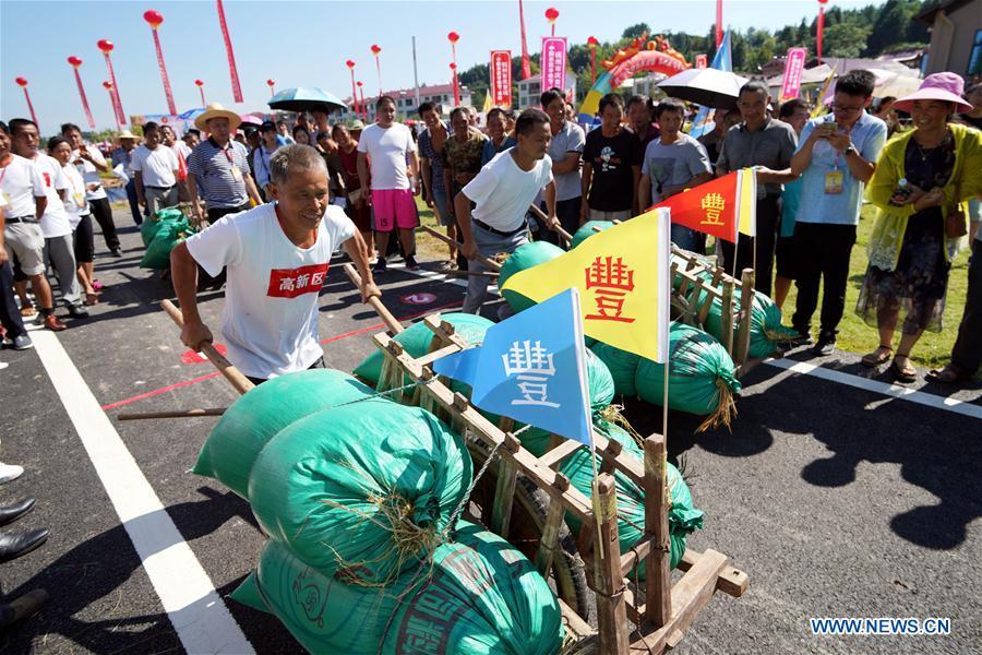 Farmers compete with each other to push wheelbarrows loaded with paddy seeds in Nanfeng County, east China\'s Jiangxi Province, Sept. 19, 2018. Activities to celebrate China\'s first Farmers\' Harvest Festival were held at Modern Agricultural Demonstration Garden in Nanfeng County. (Xinhua/Song Zhenping)