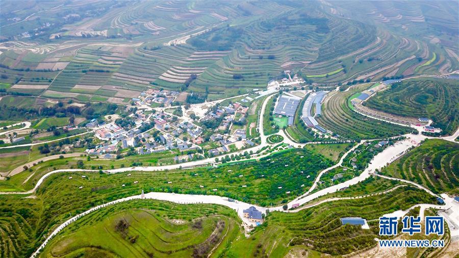 A photo taken Aug 30 shows a view of Longwangba village of Xiji county in Guyuan city, Ningxia Hui autonomous region. (Photo/Xinhua)
Longwangba is located in Xihaigu, an impoverished mountainous region in Ningxia. In 2011, the village founded a cooperative to develop rural tourism, poultry farming, and peony and organic strawberry cultivation, lifting Longwangba out of poverty. The village sees about 160,000 tourists per year.