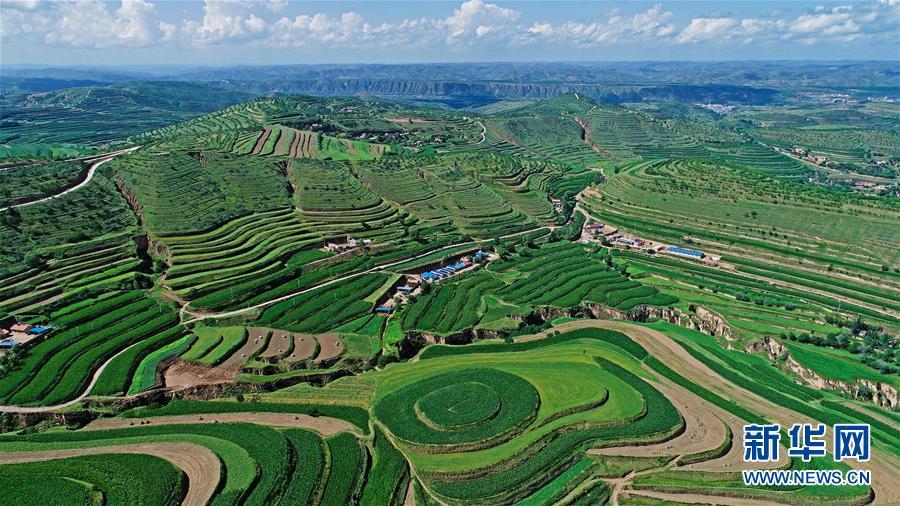 A photo taken July 16 shows a view of Jinjiping terrace park in Pengyuan county of Guyuan city, Ningxia Hui autonomous region. (Photo/Xinhua)
Guyuan, in the Liupanshan Mountain area of Ningxia, is one of the poorest areas in China, troubled by perennial droughts, barren lands and job scarcity. In the past several years, the area has made remarkable progress in the environment and people\'s living conditions with the support of the central and local government.
