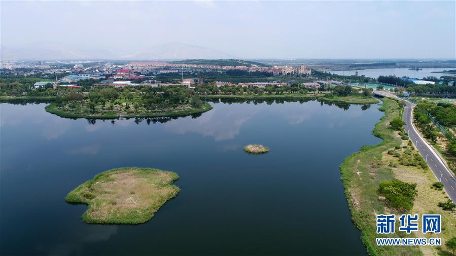 A photo taken July 31 shows Xinghai Lake in Shizuishan city, Ningxia Hui autonomous region. (Photo/Xinhua)
Xinghai Lake was formerly a marshland filled with sewage, wastewater and rubbish. Substantial efforts in recent years have helped transform the lake and improve the environment of Shizuishan, which used to be an industrial base with coal mines.