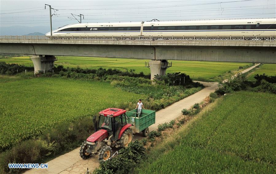 Zhou Xiaolin and Zhou Biao carry harvested middle-season rice back home in Liutian Village of Xinjian District in Nanchang, east China\'s Jiangxi Province, Sept. 21, 2018. When every harvest season for middle-season rice begins in September, Zhou Xiaolin, a rice grower, and his son Zhou Biao will always offer help to other farmers with the harvest, because few families nearby own multiple farm machineries that suffice the workload. Born in Liutian Village, Zhou Xiaolin used to be a carpenter away from home. In 2005, he returned home to take on rice growing. Two years later, Zhou Xiaolin and Zhou Biao expanded the scale of their rice growing by contracting to take over the village\'s uncultivated croplands. To meet the increasing production demand, Zhou bought the first farm machine in the village. Currently, Zhou Xiaolin and Zhou Biao have nearly 50 hectares of farmland under cultivation in the village. Altogether they own two combine harvesters, two rice transplanters and a tractor, which have made production even more efficient. An increasing number of rice growers nearby have started to use Zhou Xiaolin\'s machines and services for a reasonable price. \