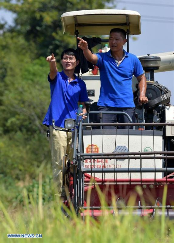 Zhou Xiaolin (R) and Zhou Biao help local farmers harvest rice in Shengmi Township of Xinjian District in Nanchang, east China\'s Jiangxi Province, Sept. 20, 2018. When every harvest season for middle-season rice begins in September, Zhou Xiaolin, a rice grower, and his son Zhou Biao will always offer help to other farmers with the harvest, because few families nearby own multiple farm machineries that suffice the workload. Born in Liutian Village, Zhou Xiaolin used to be a carpenter away from home. In 2005, he returned home to take on rice growing. Two years later, Zhou Xiaolin and Zhou Biao expanded the scale of their rice growing by contracting to take over the village\'s uncultivated croplands. To meet the increasing production demand, Zhou bought the first farm machine in the village. Currently, Zhou Xiaolin and Zhou Biao have nearly 50 hectares of farmland under cultivation in the village. Altogether they own two combine harvesters, two rice transplanters and a tractor, which have made production even more efficient. An increasing number of rice growers nearby have started to use Zhou Xiaolin\'s machines and services for a reasonable price. \