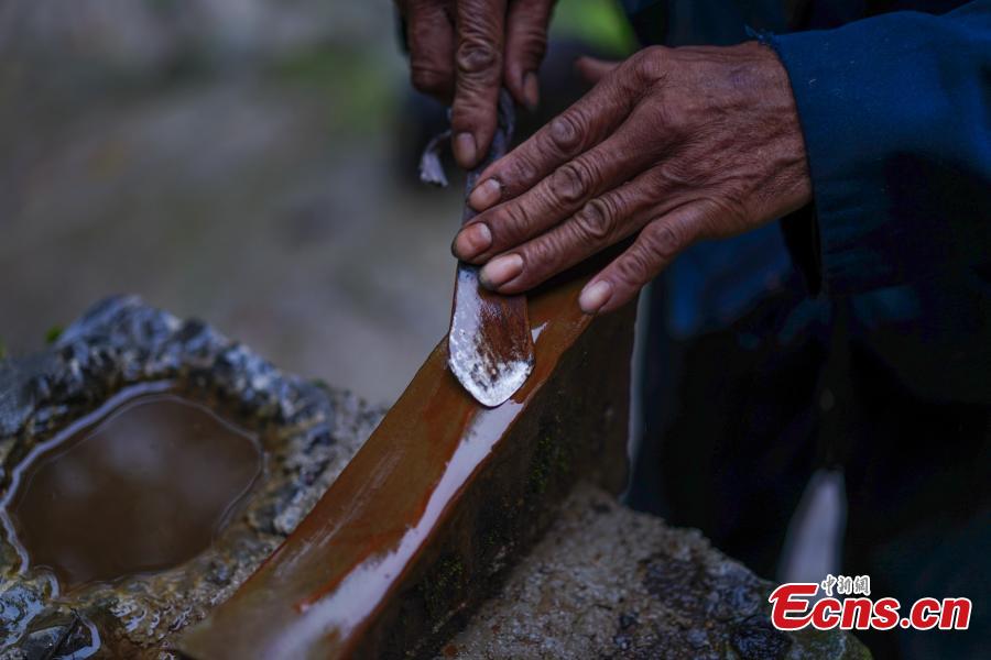 Hu Wenun, 58, sharpens a knife to be used to cut open a tree and take sap, which is used to make a durable coating called lacquer, in Dafang County, Southwest China’s Guizhou Province, Sept. 23, 2018. The period from early summer to late autumn each year is said to be the best time to reap lacquer in the mountainous county, which has seen a rapid increase in online sales of the product. (Photo: China News Service/He Junyi)