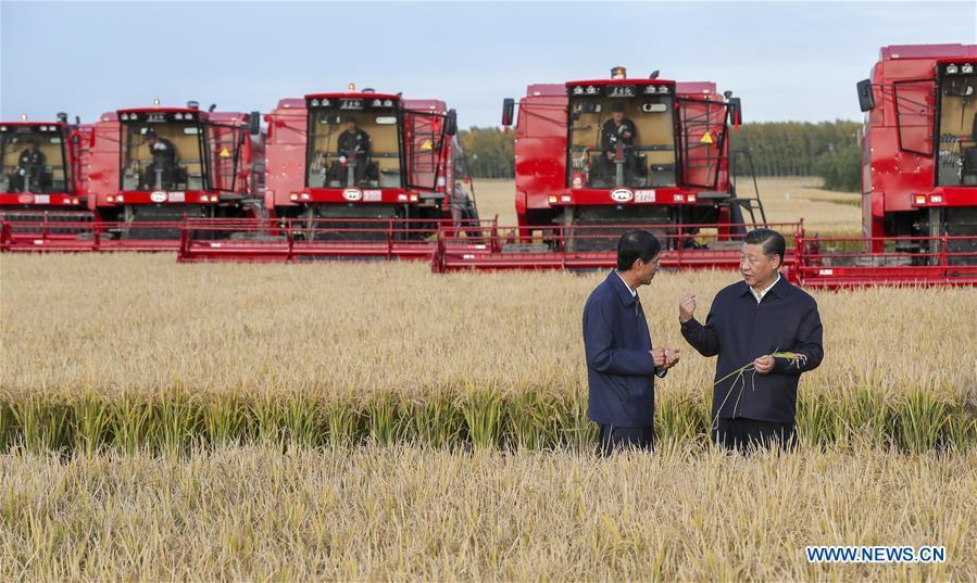 Chinese President Xi Jinping, also general secretary of the Communist Party of China (CPC) Central Committee and chairman of the Central Military Commission, inspects the Qixing farm, northeast China\'s Heilongjiang Province, Sept. 25, 2018. Xi started an inspection tour in Heilongjiang on Tuesday. (Xinhua/Xie Huanchi)