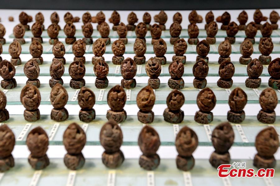 Cai Qingzhu’s nut carvings featuring the 108 characters in the Chinese novel Water Margin is displayed at an exhibition in a museum in Xi’an City, Northwest China’s Shaanxi Province, Sept. 25, 2018. It took Cai, 55, two years to finish the carvings. Nut carving, the miniature folk art of carving fruit and nut pits, has been practiced in China for centuries. (Photo: China News Service/Zhang Yuan)