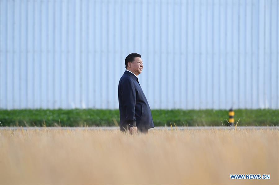 Chinese President Xi Jinping, also general secretary of the Communist Party of China (CPC) Central Committee and chairman of the Central Military Commission, visits the farms and land reclamation administrative bureau of Jiansanjiang, northeast China\'s Heilongjiang Province, Sept. 25, 2018. Xi started an inspection tour in Heilongjiang on Tuesday. (Xinhua/Yan Yan)