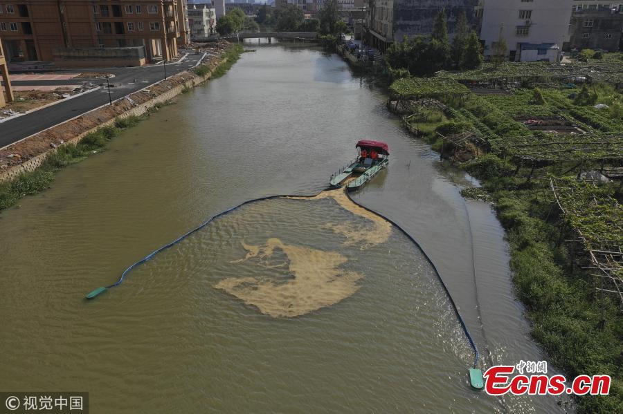 A boat equipped with a new device collects garbage in a river in Pingyang County, East China’s Zhejiang Province, Sept. 25, 2018. The rope-like electronic devices can be remotely controlled to rise above or fall under the water to collect floating garbage. (Photo/VCG)