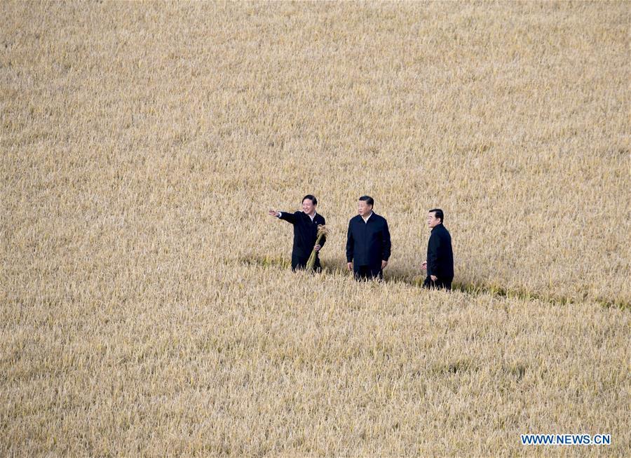 Chinese President Xi Jinping (C), also general secretary of the Communist Party of China (CPC) Central Committee and chairman of the Central Military Commission, visits the farms and land reclamation administrative bureau of Jiansanjiang, northeast China\'s Heilongjiang Province, Sept. 25, 2018. Xi started an inspection tour in Heilongjiang on Tuesday. (Xinhua/Wang Ye)