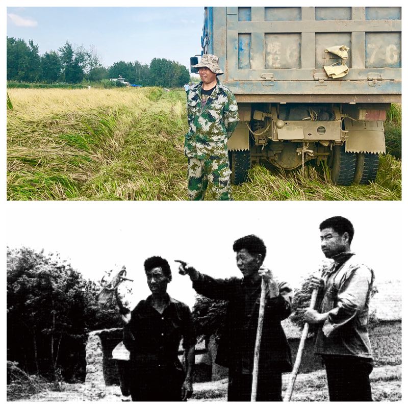 Xiaogang village has undergone dramatic changes over 40 years. (Photo provided to chinadaily.com.cn)