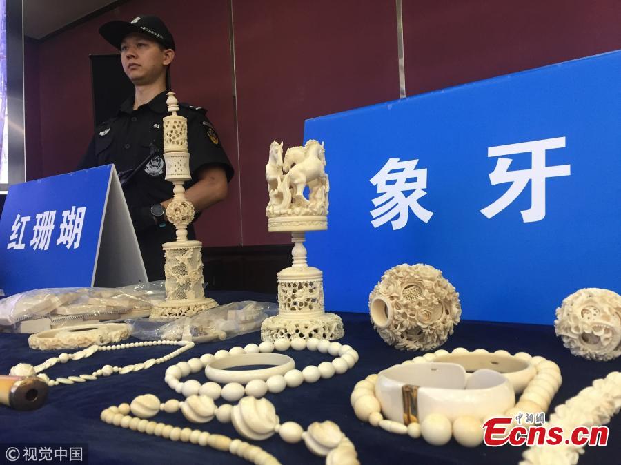 Ivory products are on display at a press conference by Guangzhou Customs. From July to August, Guangzhou Customs seized 7.26 tons of pangolin scales, which means about 120,000 to 180,000 pangolins were slaughtered. The scales sold for 340 yuan ($49) per kilogram in Africa and 5,600 yuan per kilogram in China. (Photo/VCG)