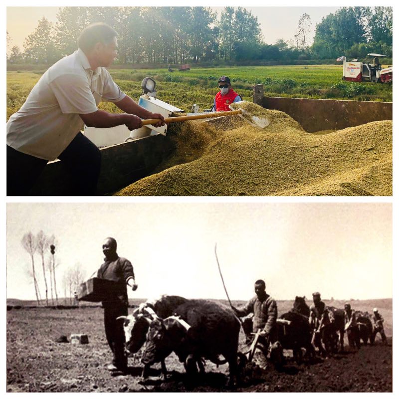 Xiaogang village has undergone dramatic changes over 40 years. (Photo provided to chinadaily.com.cn)