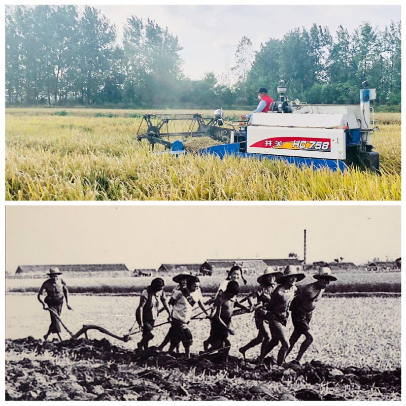 Xiaogang village has undergone dramatic changes over 40 years. (Photo provided to chinadaily.com.cn)