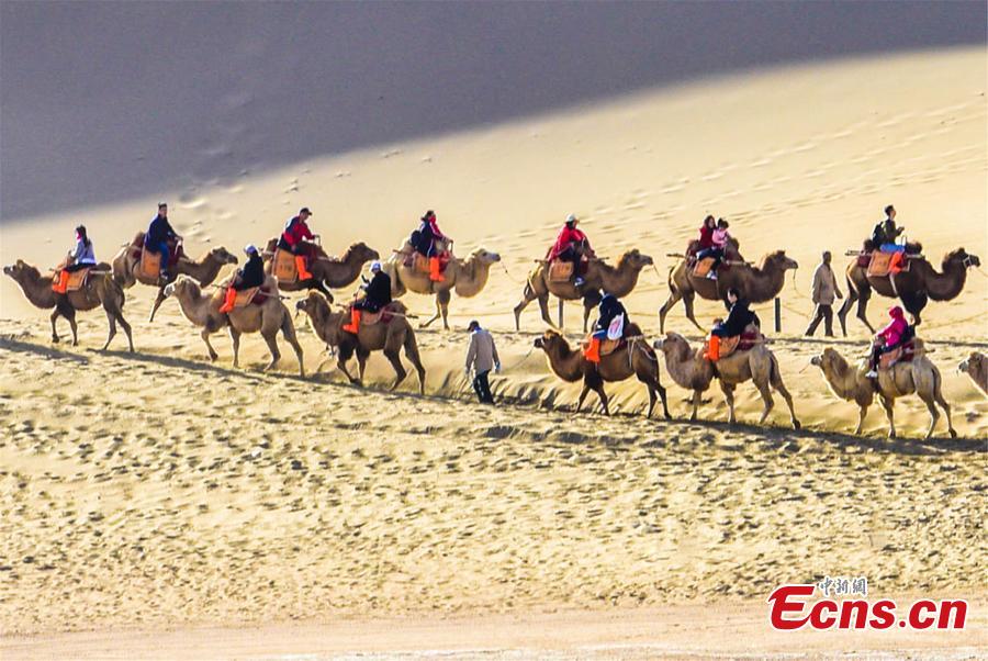Tourists ride camels in a tour of the Mingsha Hill scenic spot in the Gobi Desert in Dunhuang City, Northwest China\'s Gansu Province, during the National Day holiday from Oct. 1 to 7. Consisting of a group of sand dunes, the Mingsha Hill, with a name that means \'singing sand\', is famous for its desert scenery and the mysterious sound made by the wind as it blows over its surface. The scenic spot attracted 307,900 tourists during the holiday, a year-on-year growth of nine percent, and achieved a tourism revenue of 330 million yuan ($47.7 million), up 10 percent on the same period last year. (Photo: China News Service/Wang Binyin)
