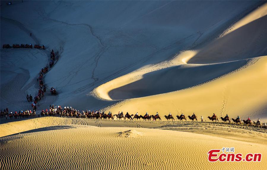 Tourists ride camels in a tour of the Mingsha Hill scenic spot in the Gobi Desert in Dunhuang City, Northwest China\'s Gansu Province, during the National Day holiday from Oct. 1 to 7. Consisting of a group of sand dunes, the Mingsha Hill, with a name that means \'singing sand\', is famous for its desert scenery and the mysterious sound made by the wind as it blows over its surface. The scenic spot attracted 307,900 tourists during the holiday, a year-on-year growth of nine percent, and achieved a tourism revenue of 330 million yuan ($47.7 million), up 10 percent on the same period last year. (Photo: China News Service/Wang Binyin)