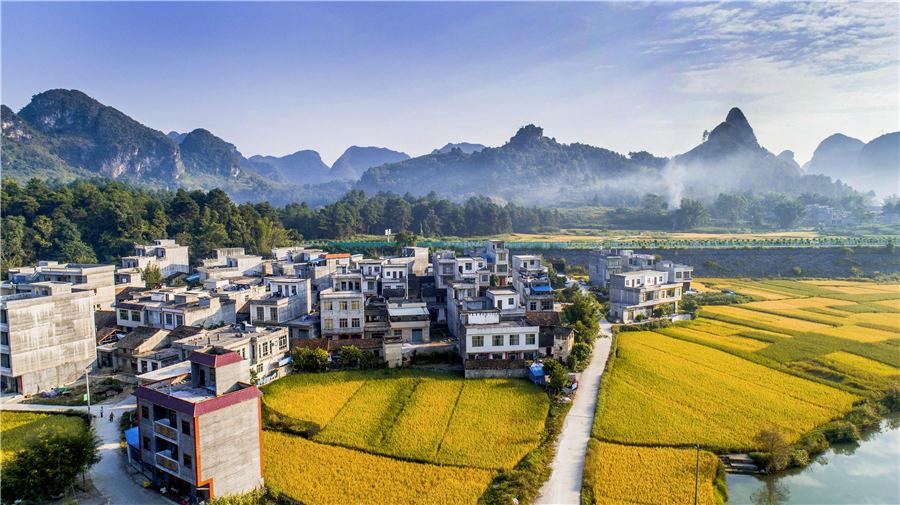 Golden rice fields in Baise, Southwest China\'s Guangxi Zhuang autonomous region, showcase the beautiful autumn landscape, on Oct. 5, 2018. (Photo/Asianewsphoto)
