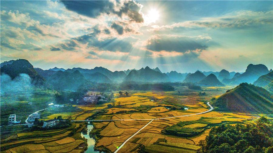 Golden rice fields in Baise, Southwest China\'s Guangxi Zhuang autonomous region, showcase the beautiful autumn landscape, on Oct. 5, 2018. (Photo/Asianewsphoto)