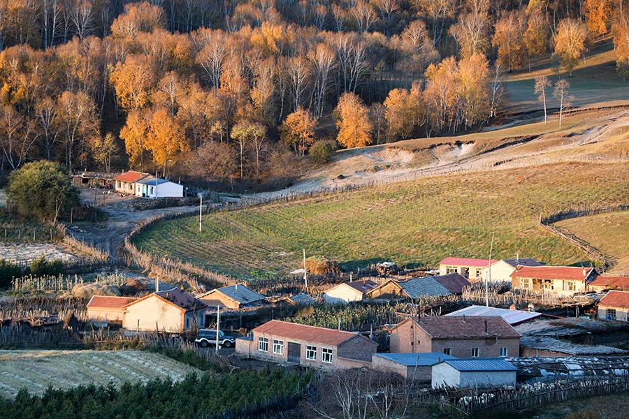 Mesmerizing autumn scenery of Wulan Butong Grassland in North China\'s Inner Mongolia. (Photo/China Daily)