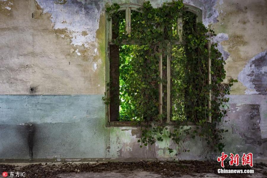 Photographer James Kerwin has spent his free time rediscovering forgotten buildings in the backlands of France, Italy and eastern Europe. Kerwin is part of a group of urban explorers who document abandoned structures, casting these dilapidated relics in a new light. These images of green-filled spaces show the inherent beauty of nature and its power to reclaim these man-made structures. (Photo/IC)