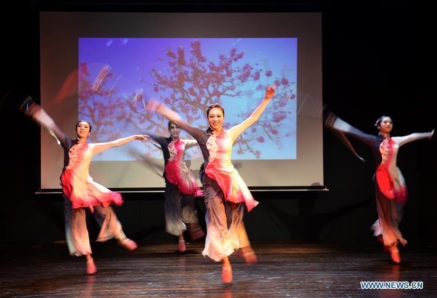 Members of the art troupe of the Beijing-based Capital University of Physical Education and Sports perform in Bogazici University of Istanbul, Turkey, on Oct. 9, 2018. A charm of Chinese Kung Fu tour started on Tuesday evening at Bogazici University in Istanbul, enchanting the audience with a mixture of Chinese martial arts and dances. (Xinhua/He Canling)