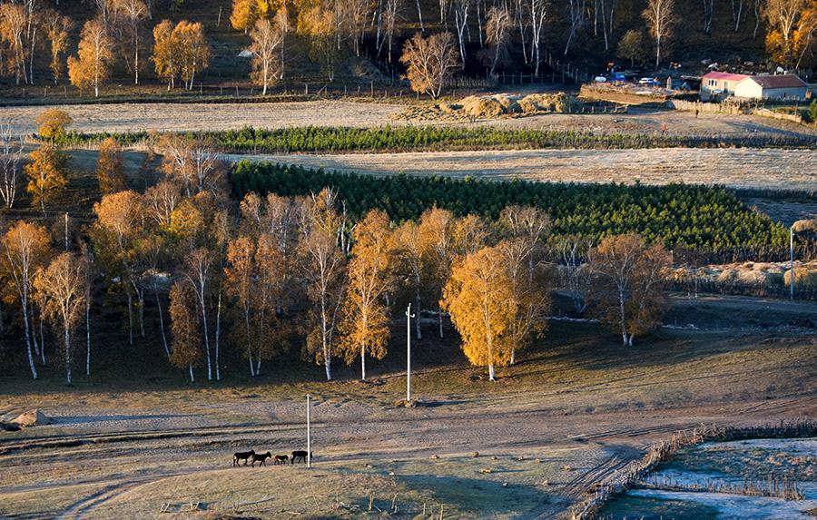 Mesmerizing autumn scenery of Wulan Butong Grassland in North China\'s Inner Mongolia. (Photo/China Daily)