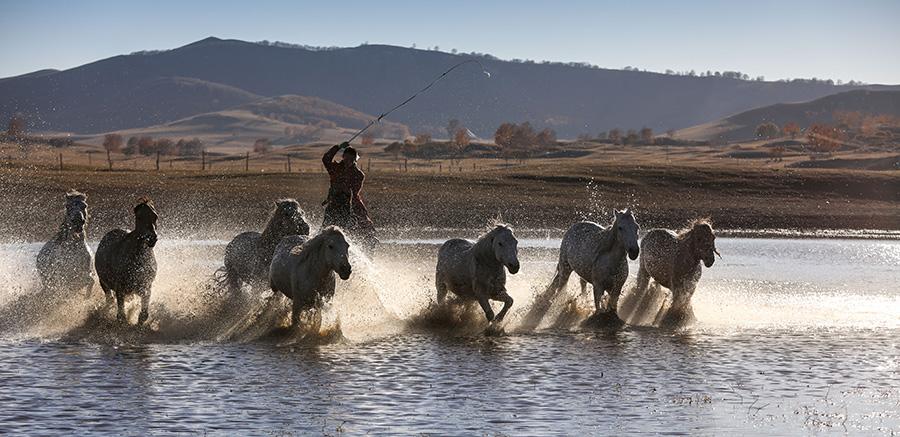 Mesmerizing autumn scenery of Wulan Butong Grassland in North China\'s Inner Mongolia. (Photo/China Daily)