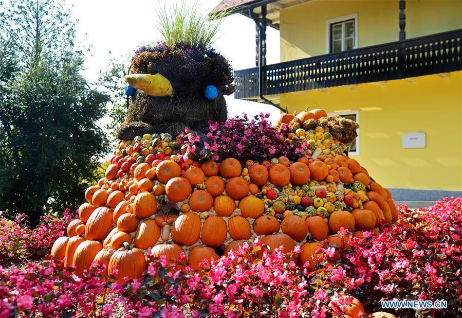 Colorful pumpkins are displayed during a funny pumpkin exhibition at a botanic park some 20 km away from Ljubljana, Slovenia, Oct. 13, 2018. A funny pumpkin exhibition was held there recently to celebrate the pumpkin harvest season. (Xinhua/Matic Stojs)