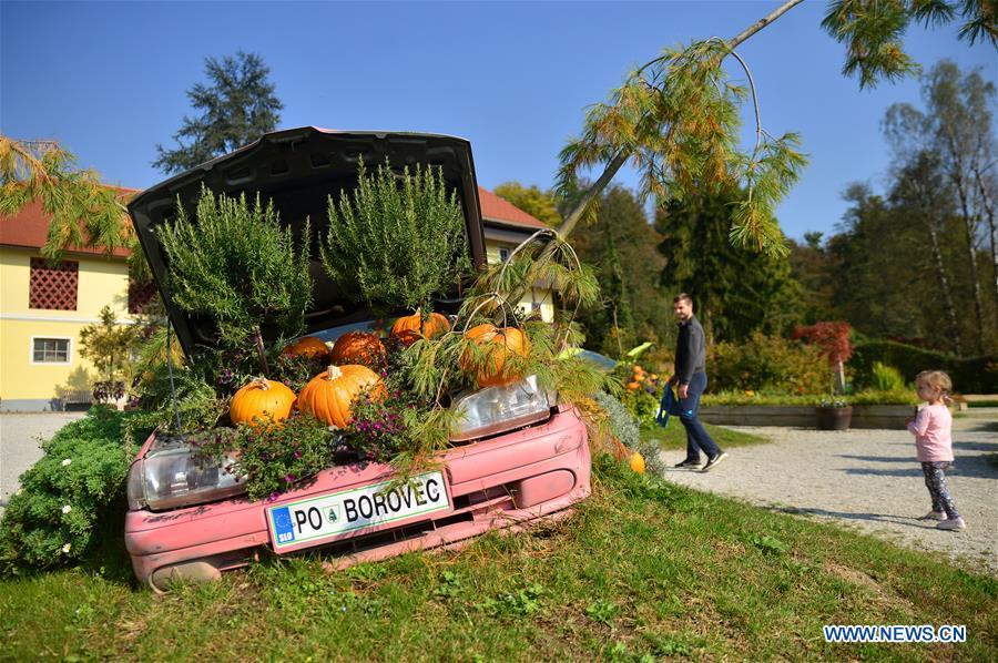 Colorful pumpkins are displayed during a funny pumpkin exhibition at a botanic park some 20 km away from Ljubljana, Slovenia, Oct. 13, 2018. A funny pumpkin exhibition was held there recently to celebrate the pumpkin harvest season. (Xinhua/Matic Stojs)