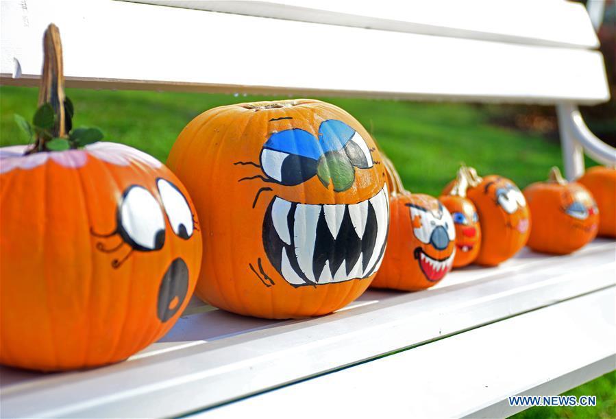 Colorful pumpkins are displayed during a funny pumpkin exhibition at a botanic park some 20 km away from Ljubljana, Slovenia, Oct. 13, 2018. A funny pumpkin exhibition was held there recently to celebrate the pumpkin harvest season. (Xinhua/Matic Stojs)