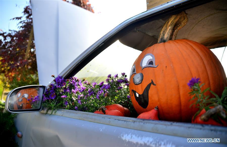 A pumpkin is displayed during a funny pumpkin exhibition at a botanic park some 20 km away from Ljubljana, Slovenia, Oct. 13, 2018. A funny pumpkin exhibition was held there recently to celebrate the pumpkin harvest season. (Xinhua/Matic Stojs)