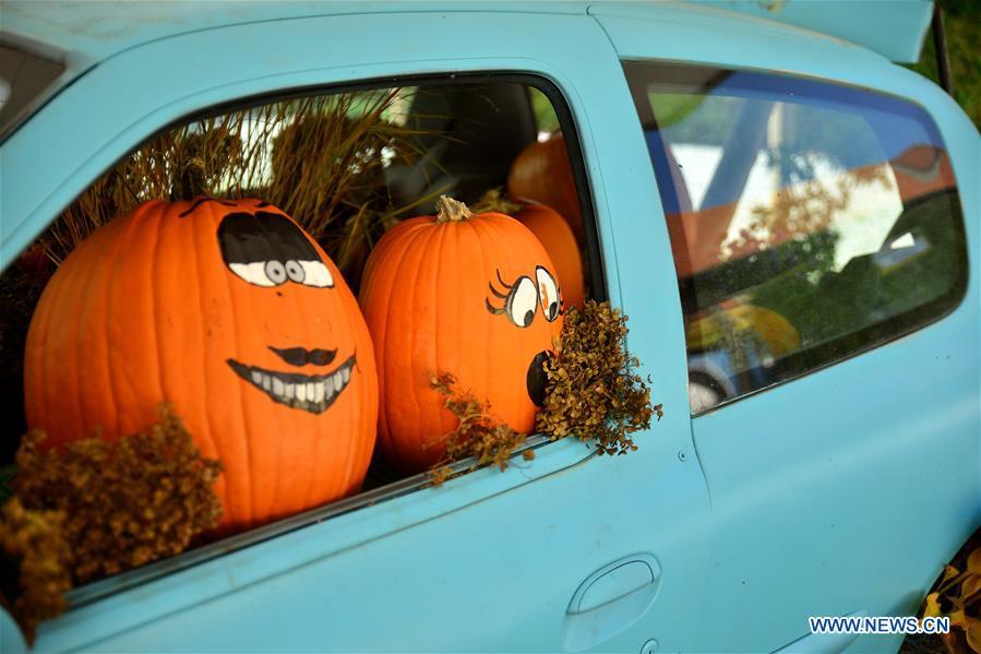 Colorful pumpkins are displayed during a funny pumpkin exhibition at a botanic park some 20 km away from Ljubljana, Slovenia, Oct. 13, 2018. A funny pumpkin exhibition was held there recently to celebrate the pumpkin harvest season. (Xinhua/Matic Stojs)