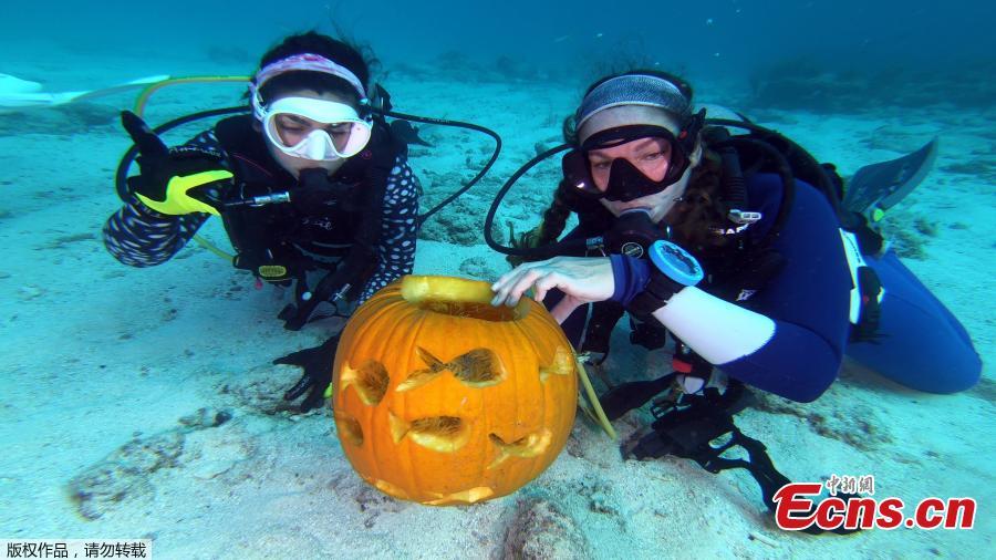 Contestants compete in the Underwater Pumpkin Carving Contest, staged by the Amoray Dive Resort off Key Largo, Florida, in the Florida Keys National Marine Sanctuary, Oct. 14, 2018. (Photo/Agencies)