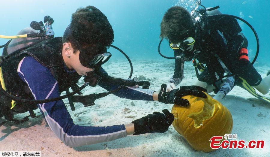Contestants compete in the Underwater Pumpkin Carving Contest, staged by the Amoray Dive Resort off Key Largo, Florida, in the Florida Keys National Marine Sanctuary, Oct. 14, 2018. (Photo/Agencies)