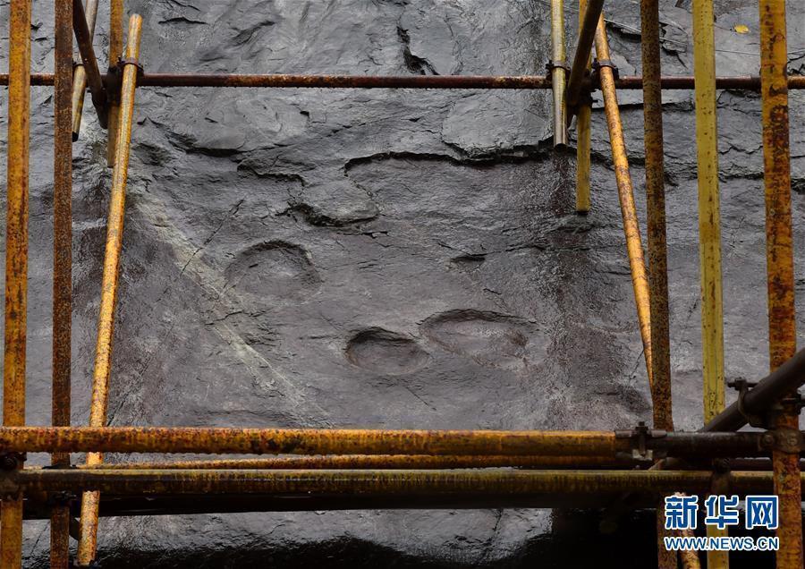 Fossilized dinosaur footprints at Yanqing Geopark in Beijing, Oct. 15, 2018. Experts from the Petrified Forest of Lesbos in Greece, China University of Geosciences (Beijing) and Yanqing Geopark are launching a new round of experimental conservation efforts for the dinosaur footprints formed about 150 million years ago and now suffering from erosion and weathering. (Photo/Xinhua)