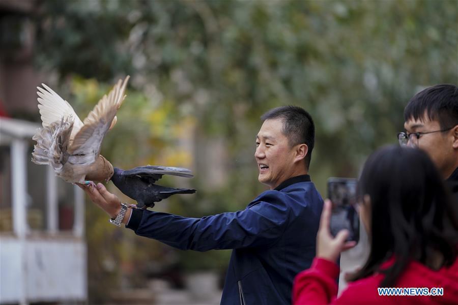 Tourists interact with pigeons in Kashgar City, northwest China\'s Xinjiang Uygur Autonomous Region, Oct. 16, 2018. The ancient oasis city of Kashgar, in the westernmost part of China near the border with Kyrgyzstan, Tajikistan, Afghanistan, and Pakistan, was an important staging post on the original Silk Road and has been revitalized as a bustling hub of business and different cultures. (Xinhua/Hu Huhu)