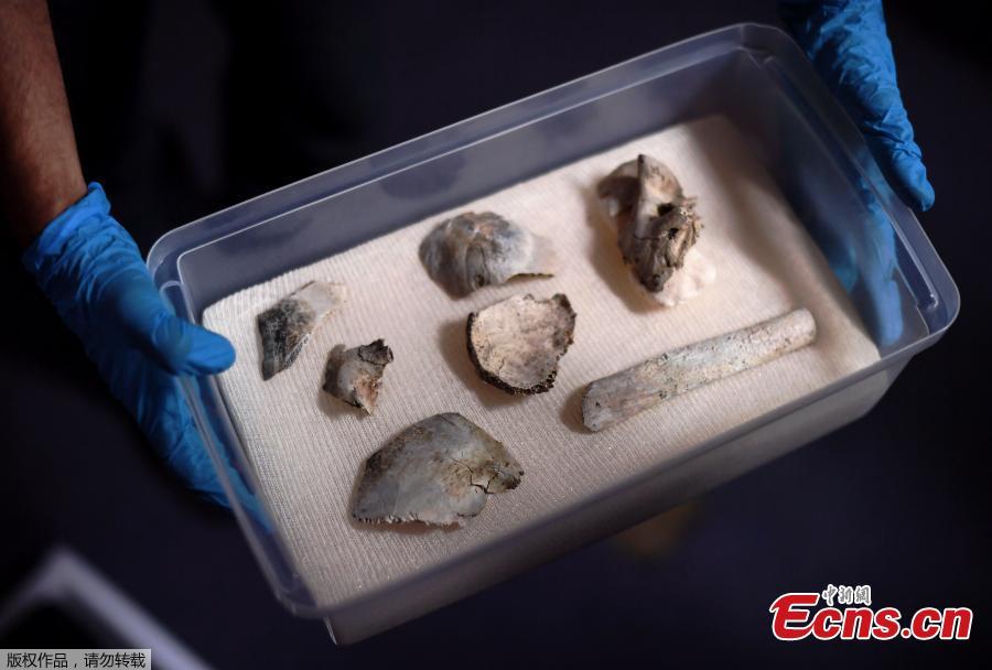 Fragments of the oldest human fossil found within today\'s Brazilian borders, known as \