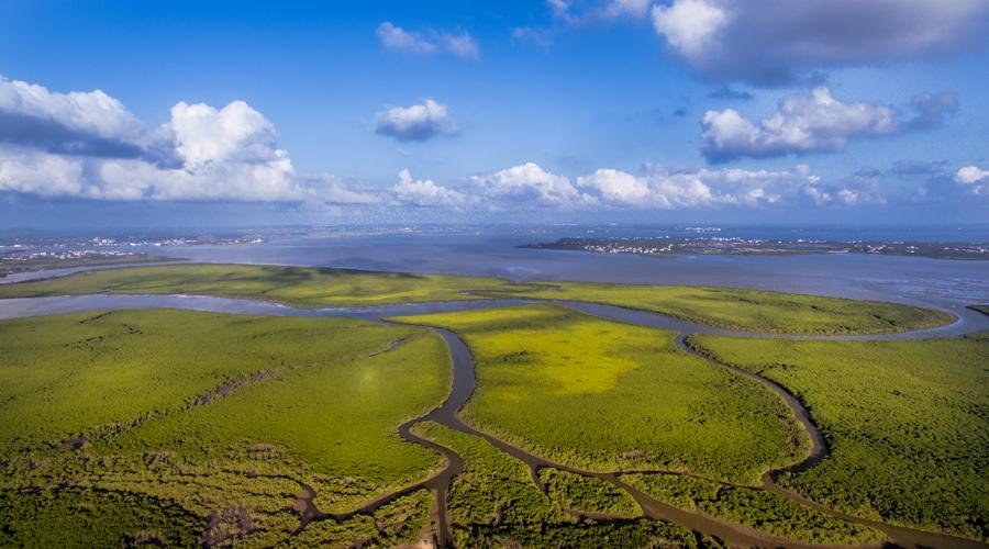 Haikou in Hainan Province has pioneered its efforts to preserve ecosystems. (Photo provided to chinadaily.com.cn)
Haikou, the capital of China\'s southernmost Hainan Province and a renowned tourist city famous for its charming coconut trees and warm sunshine, is transforming itself into a destination that also features rich and lush wetlands, thanks to enviable progress made in the restoration of its local ecosystems.
For locals, it\'s all been good.
The Meishe River, known as Haikou\'s \