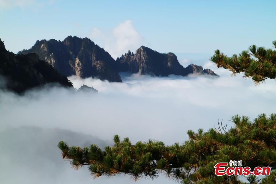 Mist and clouds surround Mount Huangshan in Anhui Province on Oct. 23, 2018. A UNESCO World Heritage site, the area is well known for its scenery, sunsets, peculiarly-shaped granite peaks, and Huangshan pine trees. (Photo: China News Service/Li Jingang)